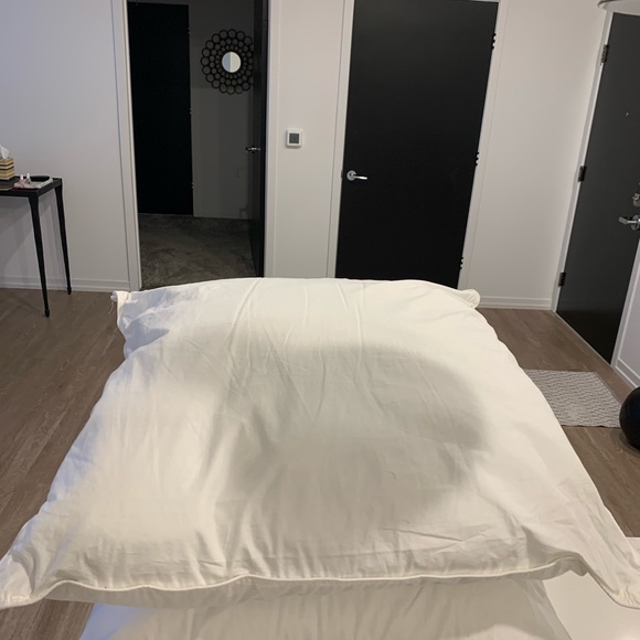 Euro Pillows.... (3)  26x 26 - Picture 3 of 5